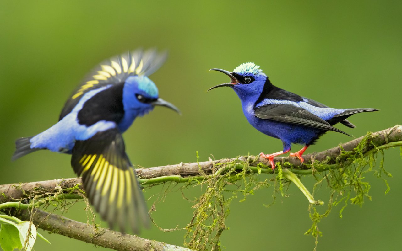 agence de voyage Nicaragua