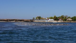 Isla Juan Venado, Nicaragua