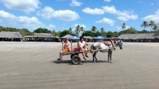  calèche sur la plage, Nicaragua 