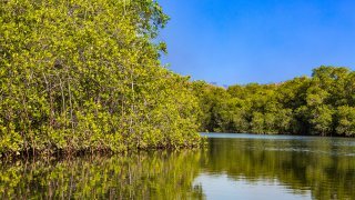 Padre Ramos réserve naturelle Chinandega Nicaragua