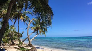 Avis voyageur Stephane Alliot