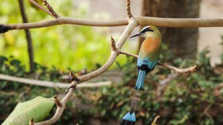 Guadabaranco, Jinotega, Matagalpa, NIcaragua