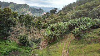 Café, voyage sur mesure Nicaragua