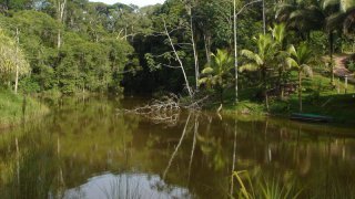 Costa Rica - Boca Tapada