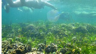 Costa Rica -Bocas del Toro - Isla Colón