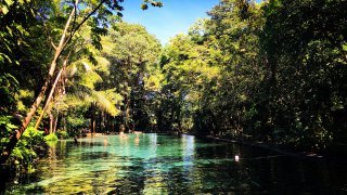 Ometepe - Ojo de Agua source naturelle - Nicaragua