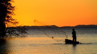 Avis voyageur Stan Chancrin