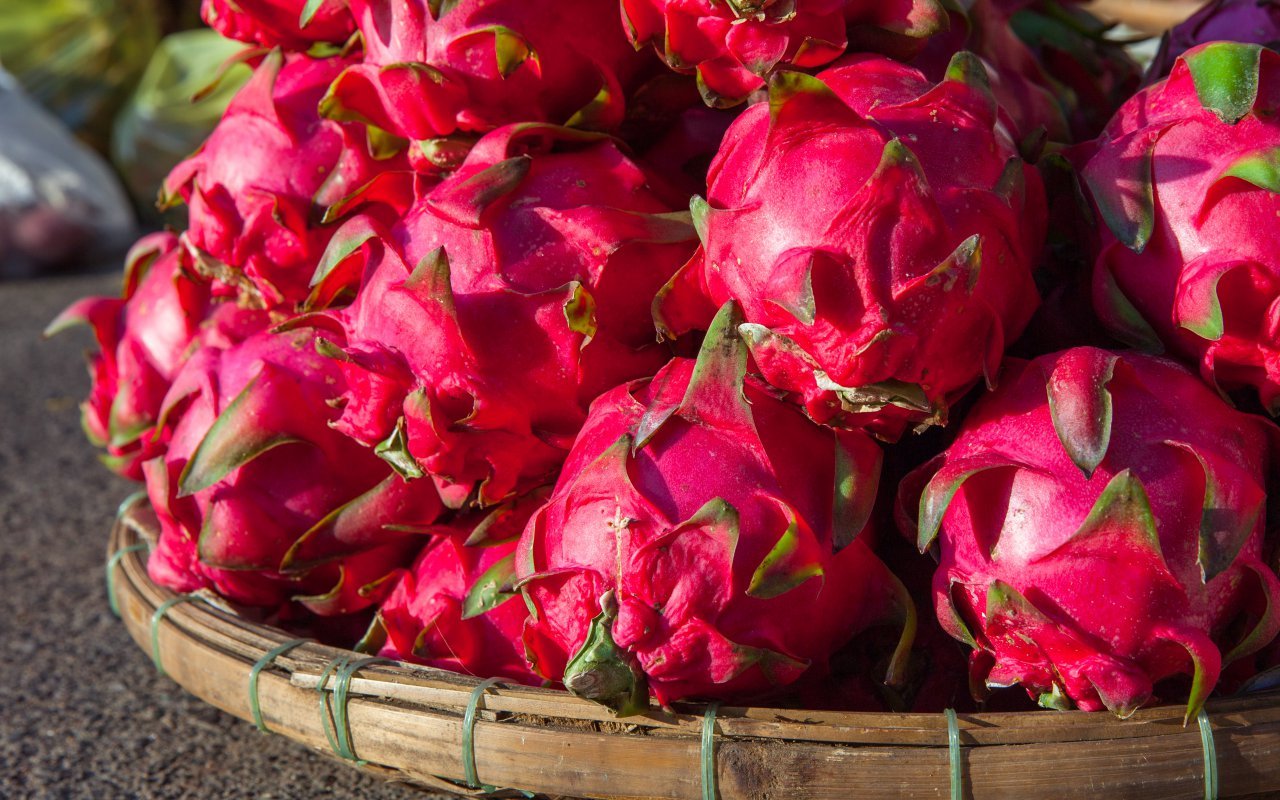fruits du dragon, Nicaragua