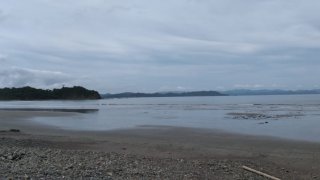 Playa El Ostional, nicaragua