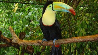 Les incontournables du Nicaragua en un voyage