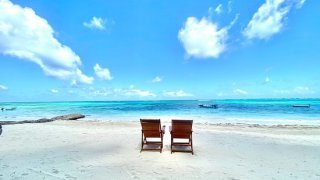  Avis voyageur CHRISTIAN HAESSLER 